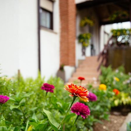 Apartment Sovdat トールミン エクステリア 写真