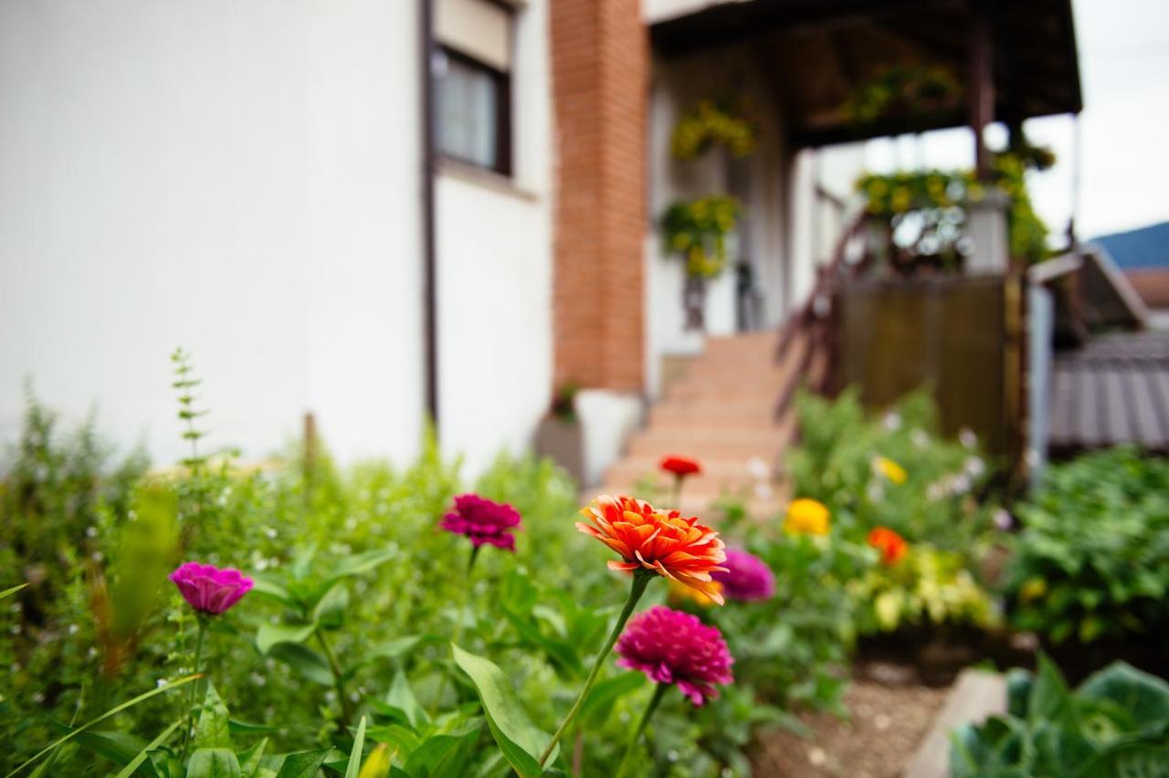 Apartment Sovdat トールミン エクステリア 写真
